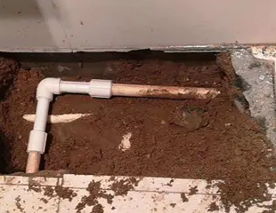 梁溪测漏水哪家好