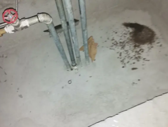 梁溪卫生间测漏水价格明细